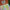 Cotton Candy Pack of 10 – Dipped Taper Candles – 19cm