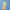 Pastel Trio Yellow – Dipped Taper Candles – 19cm