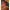Warm massage candle oil being poured onto skin