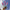 Neon Party Pink and Blue - Dipped Taper Candles - 19cm