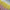Cotton Candy Pink & Yellow – Dipped Taper Candles - 19cm