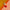Samba Papaya – Dipped Taper Candles – 19cm